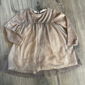 Zara Velvet & Tulle Dress